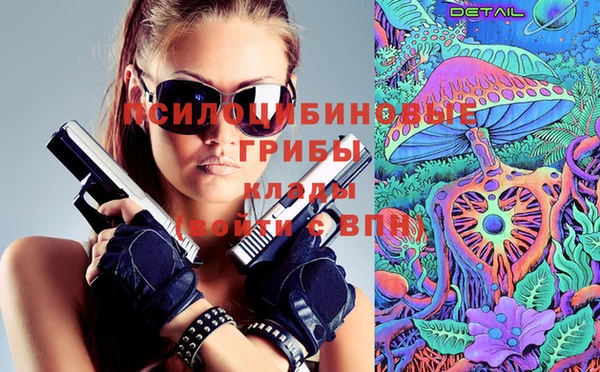 тгк Армянск