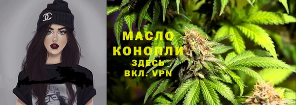 дмт Аркадак