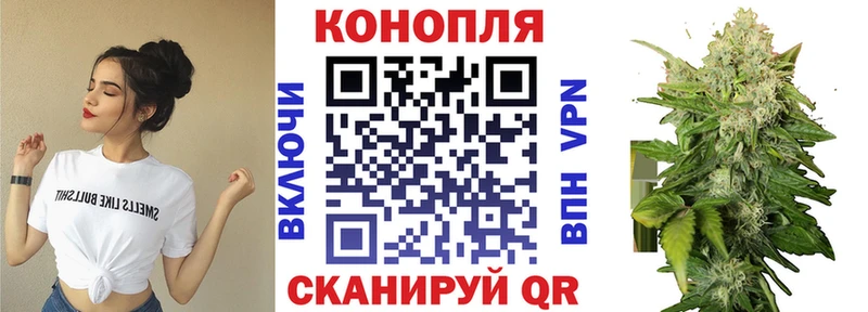 Шишки марихуана гибрид Суровикино